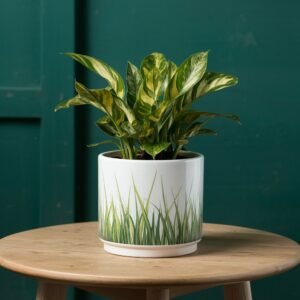 Ridgecraft Cylindrical Pot